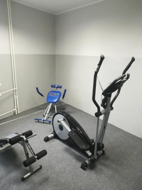 Posilňovňa alebo fitness centrum v ubytovaní Dedal