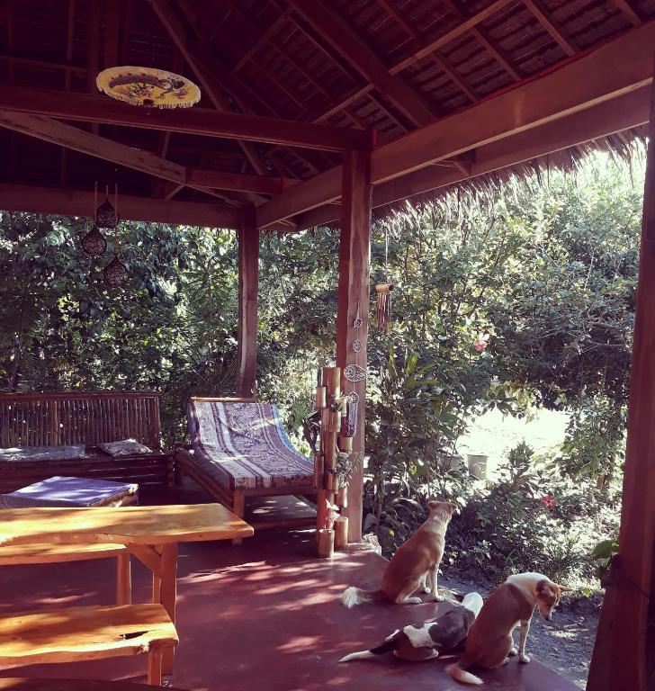 Ein Garten an der Unterkunft Lazy Lizard Hostel