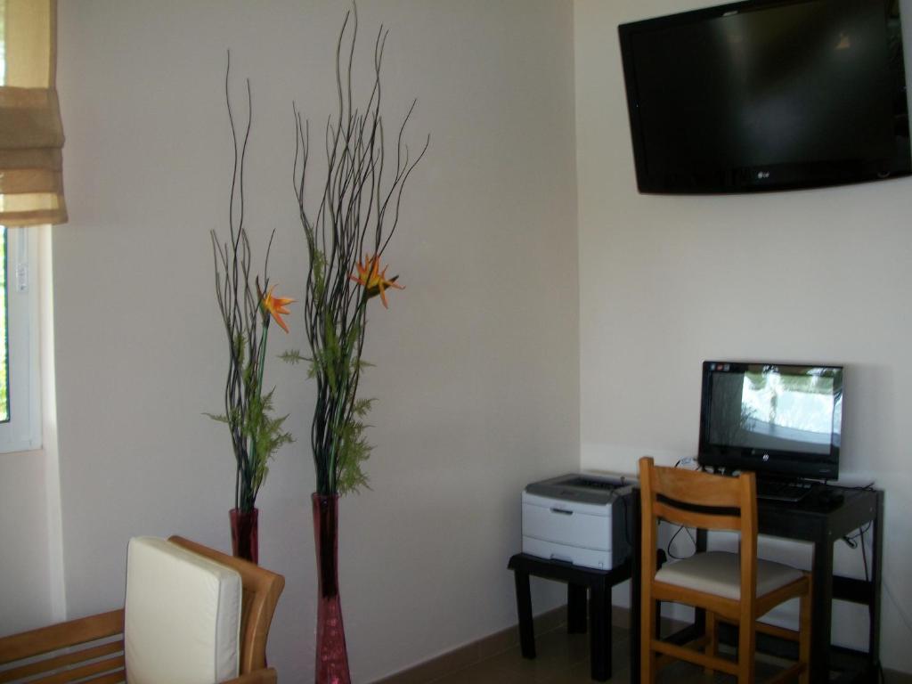 a room with a desk and a tv and two flowers at Thea Hotel in Possidi