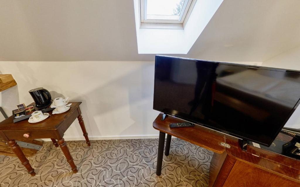 TV a/nebo společenská místnost v ubytování "Alte Pension" Bautzen