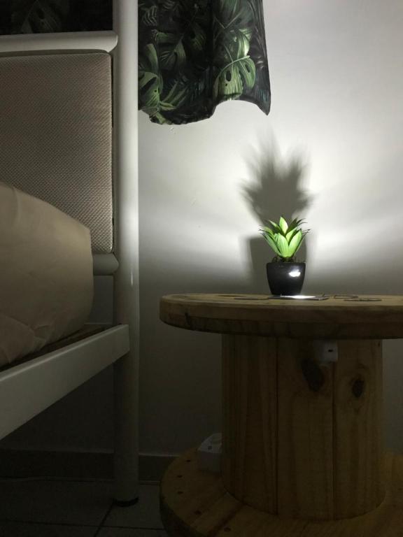  Kactu’s Loft