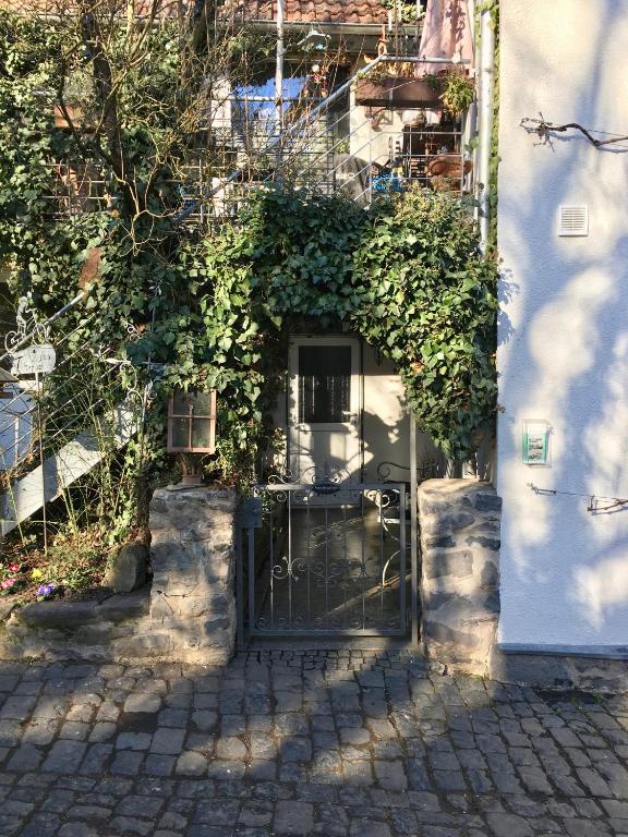 Fotografie z fotogalerie ubytování Ferienwohnung Frieda v destinaci Hungen