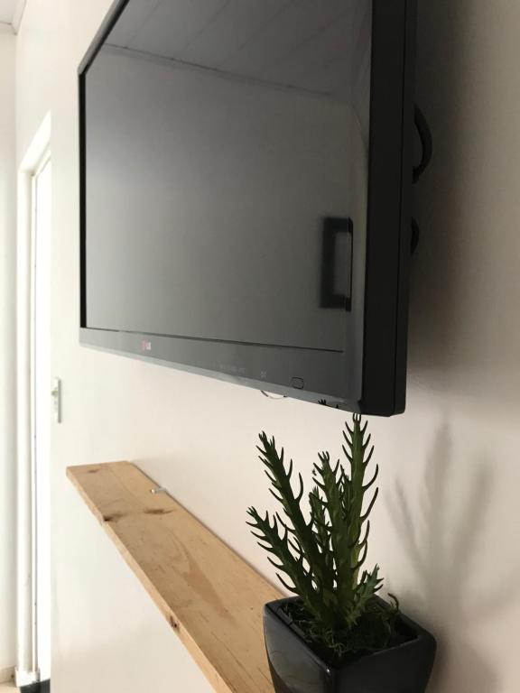  Kactu’s Loft