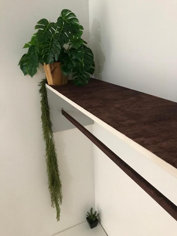  Kactu’s Loft