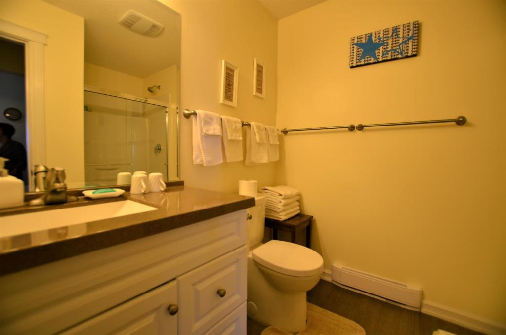 a bathroom with a toilet and a sink and a mirror at Gibralter Rock Ocean View B&B in Nanaimo