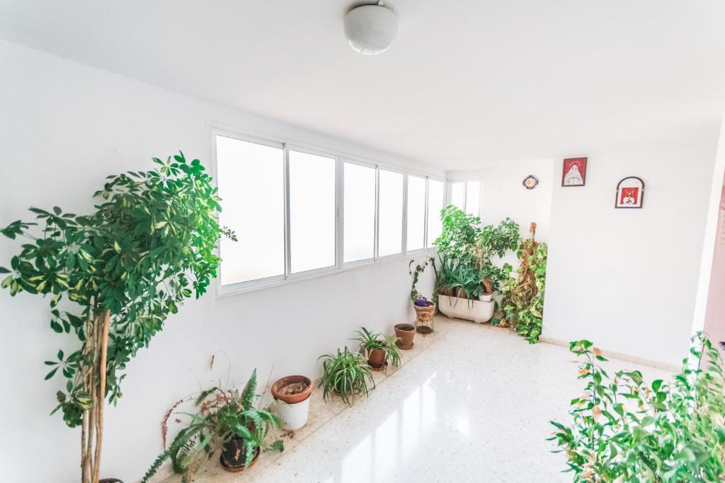 Fotografia z galérie ubytovania Cubo's Apartamento Origen del Sur v destinácii Málaga
