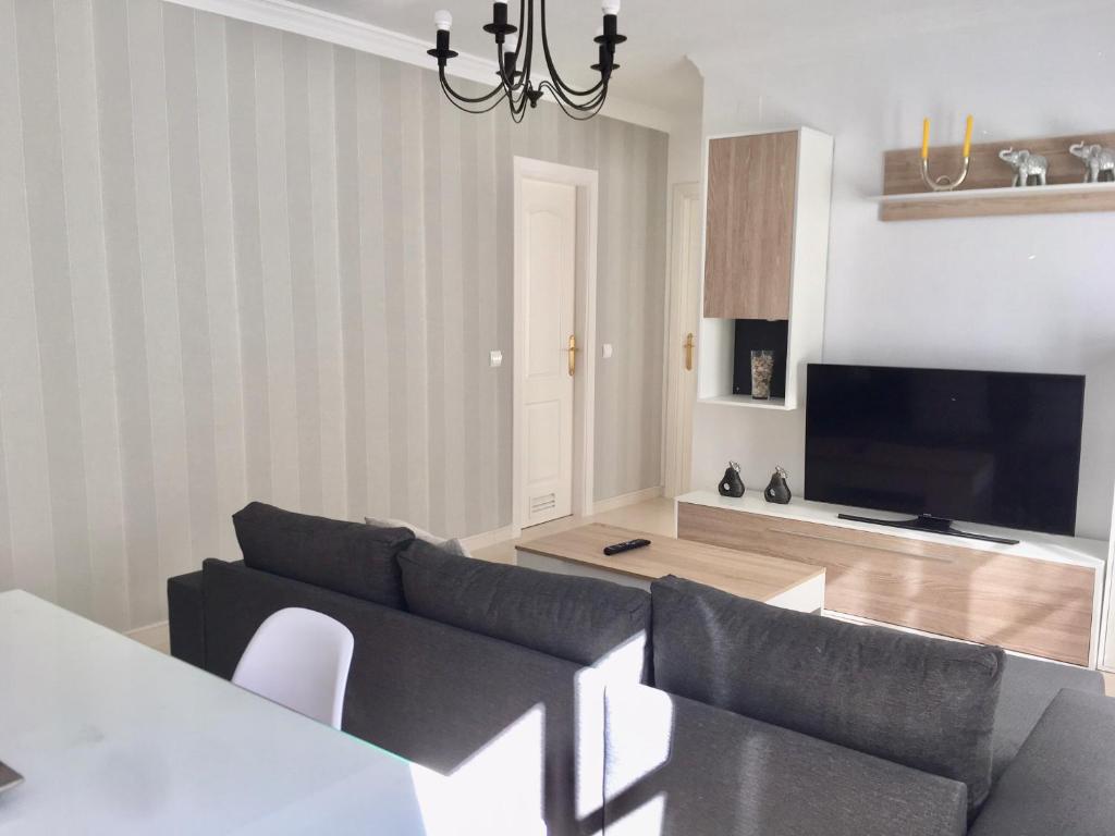 ein Wohnzimmer mit Sofa und Fernseher in der Unterkunft Apartamento Pasaje Ronda Centro in Ronda