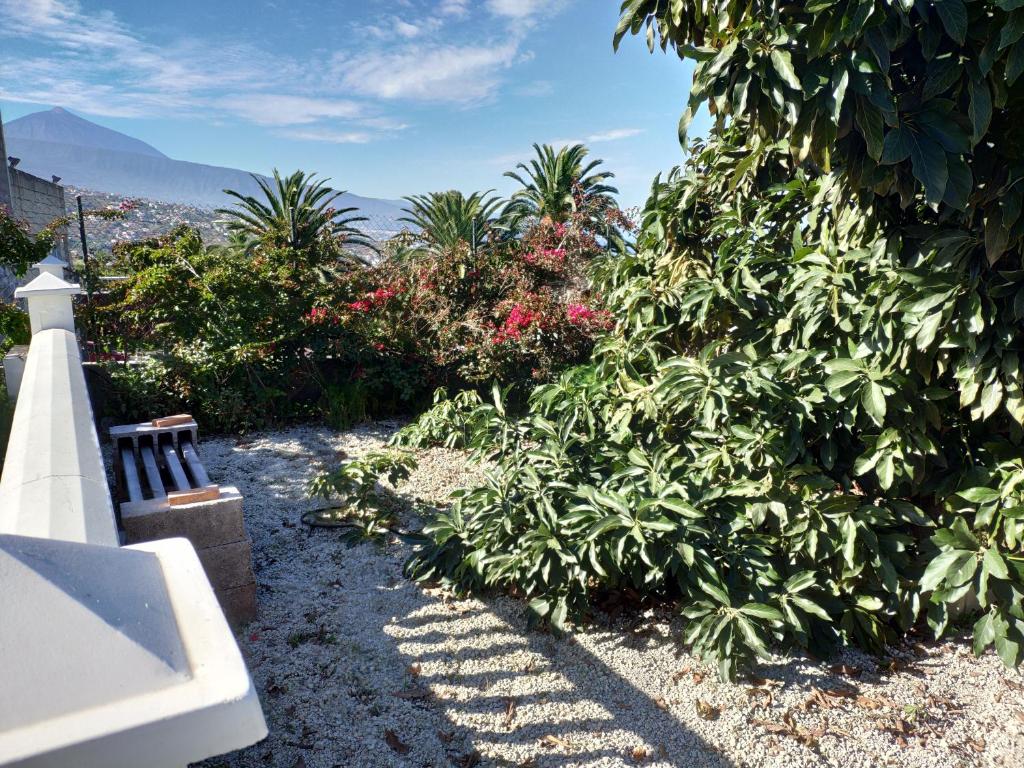 Villas Norte Piscina privada climatizada, La Victoria de ...