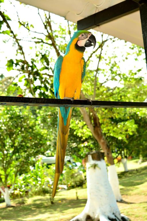 Finca Hotel San Fernando Quimbaya
