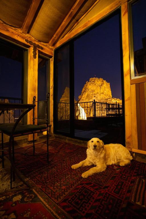 Domácí mazlíčci ubytovaní s hosty v ubytování Zen Cappadocia