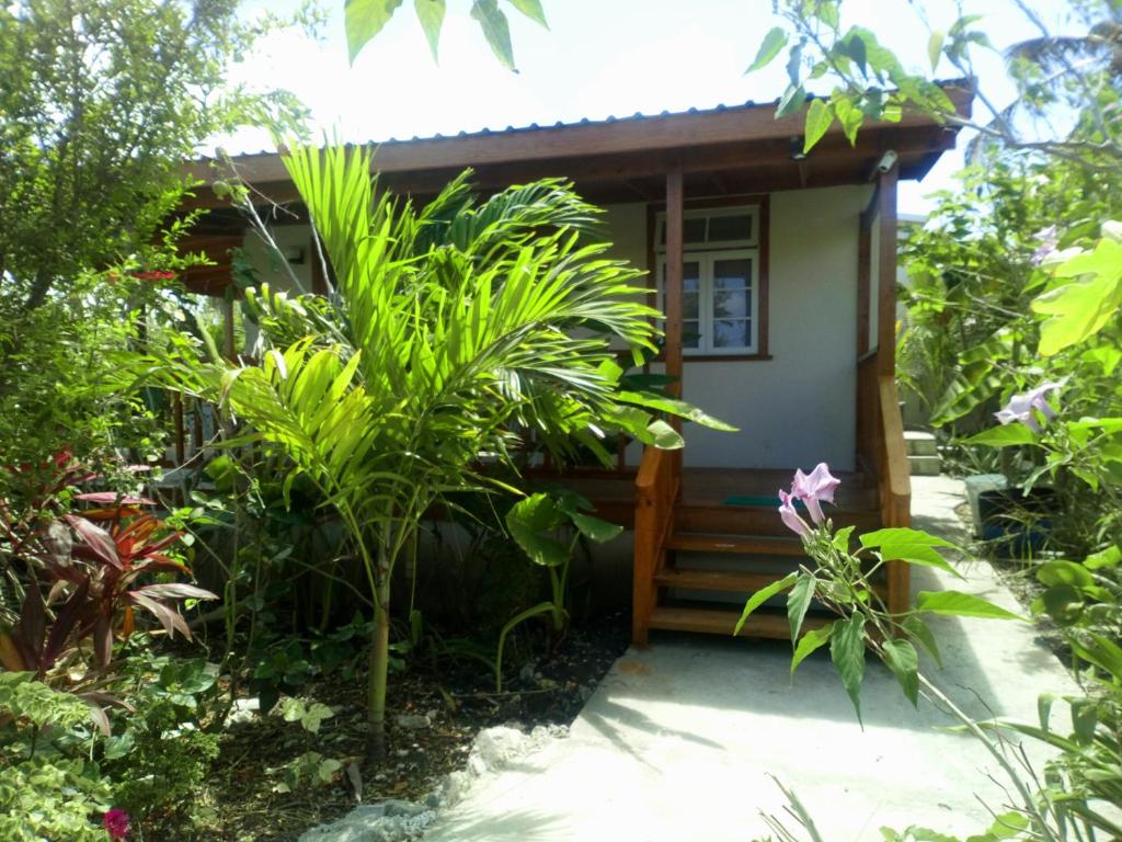 a small house in the middle of a garden at The Pool House in Saint Philip
