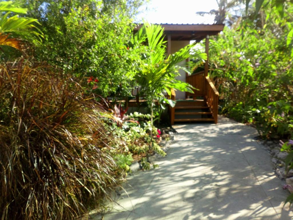 a garden path leading to a house with plants at The Pool House in Saint Philip
