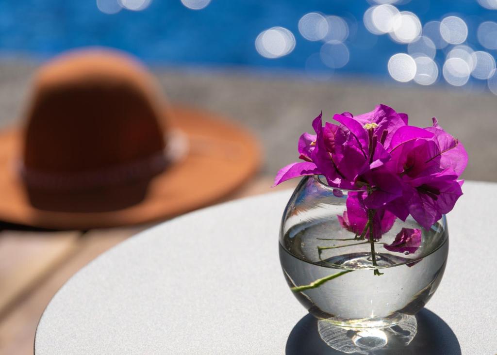 Fotografie z fotogalerie ubytování Matian Hotel Boutique v destinaci Tequisquiapan