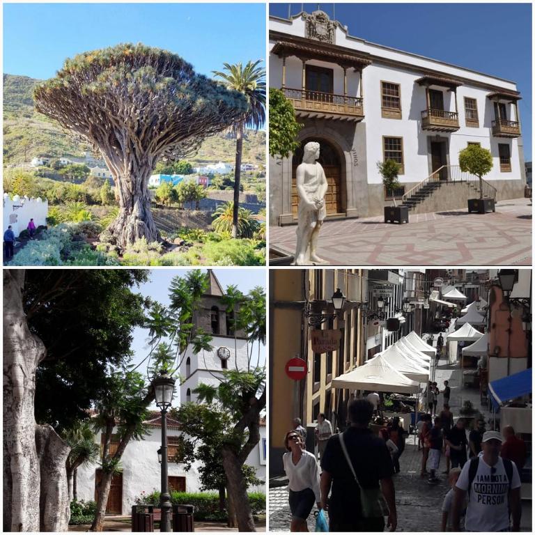 Fotografia z galérie ubytovania Plaza San Marcos CASCO HISTORICO v destinácii Icod de los Vinos