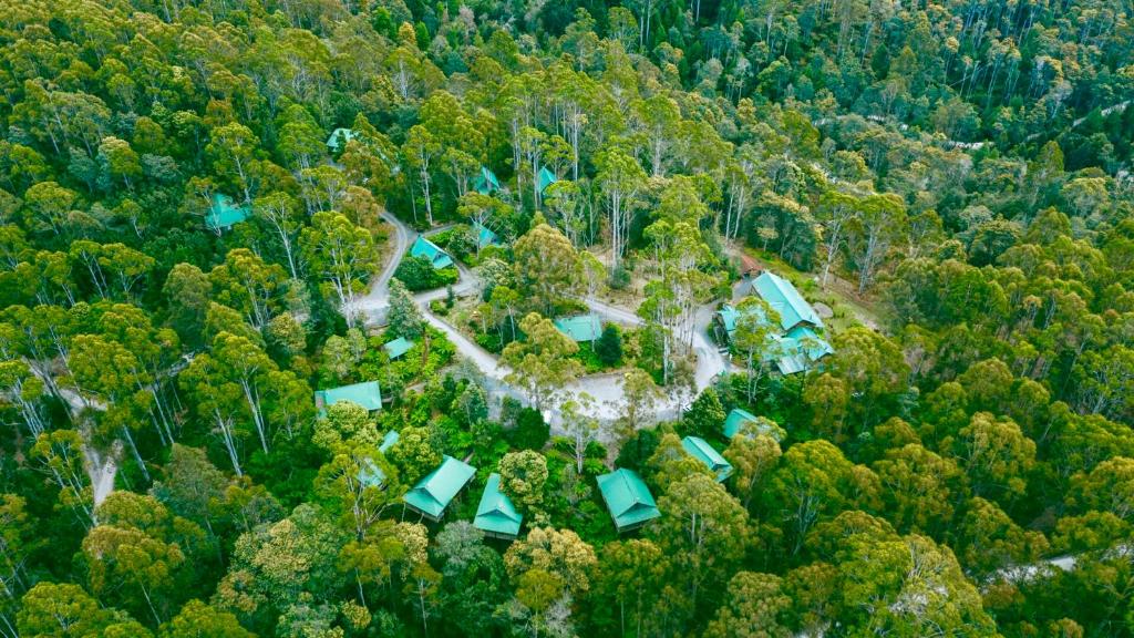 an aerial view of a house in the middle of a forest at Lemonthyme Wilderness Retreat in Moina