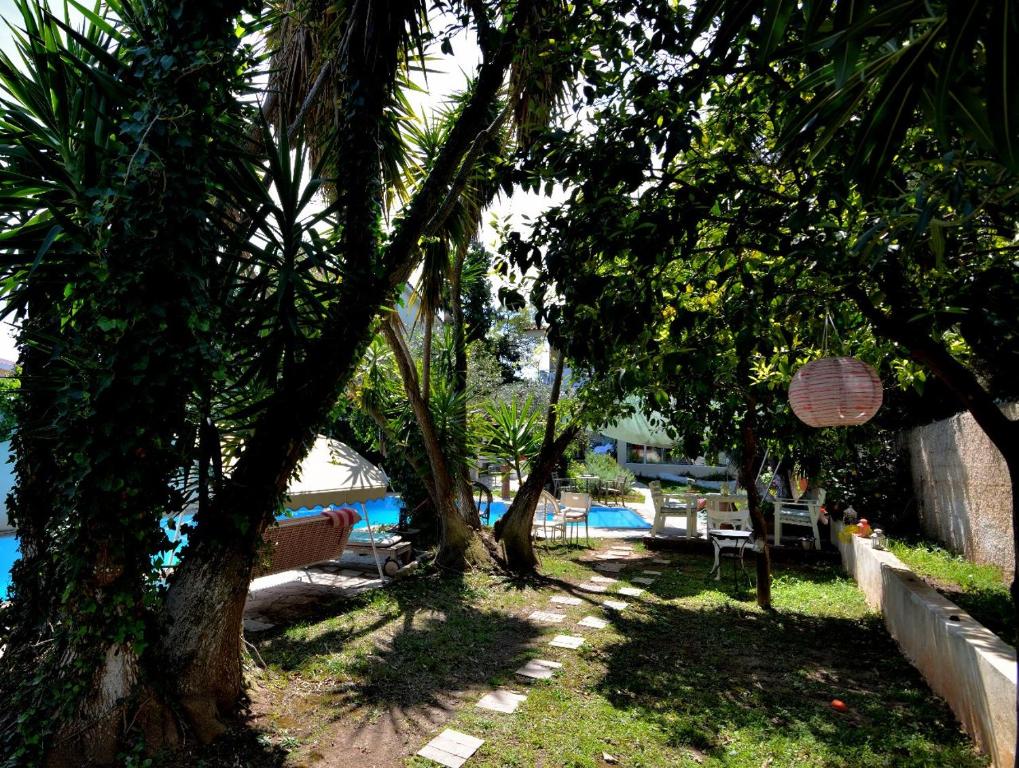 a row of trees next to a swimming pool at St. Thomas Bed and Breakfast in Paianía