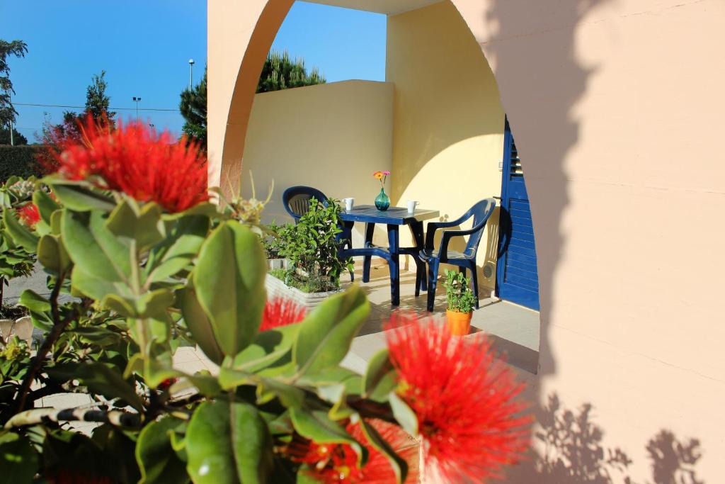 Zahrada ubytování Residence Oasi Salento