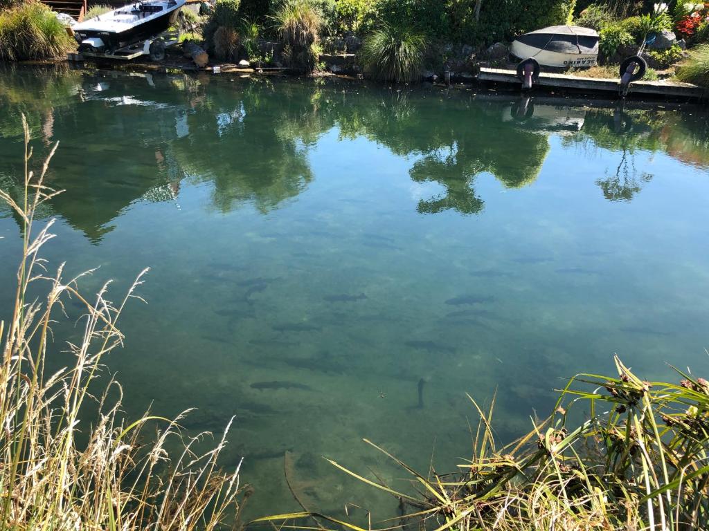 Jack & Di's Lakefront Motel - Resim 32