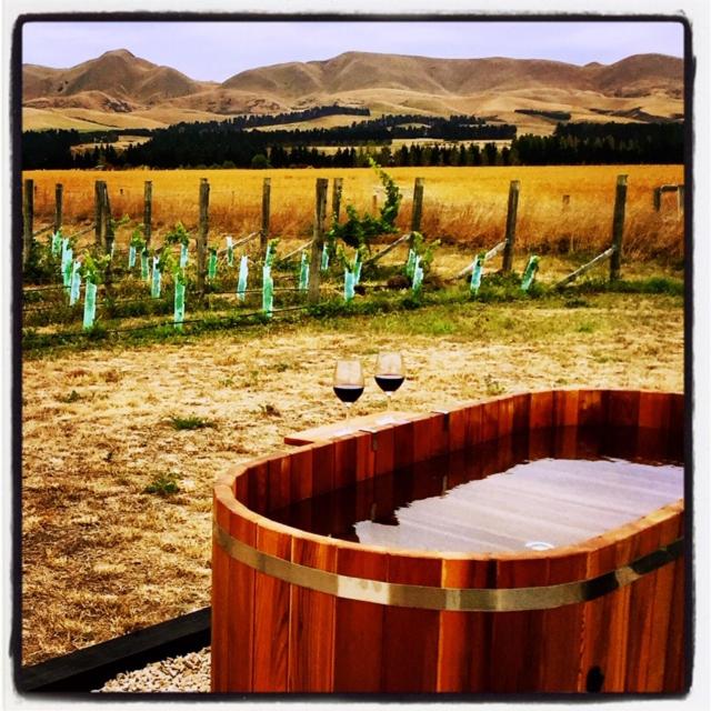 Fotografie z fotogalerie ubytování Romantic Vineyard getaway v destinaci Waipara