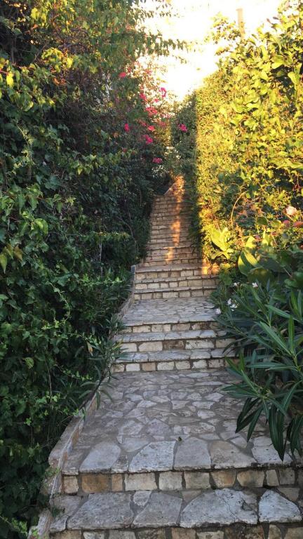 Fotografie z fotogalerie ubytování Bougainville Bay Resort - Villa 11 v destinaci Sarandë
