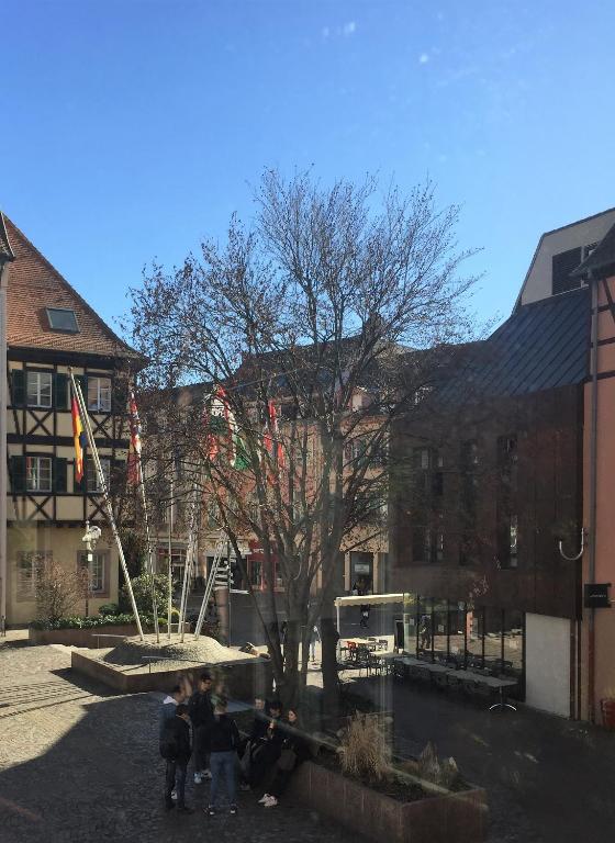 Gîte "Schongauer" hypercentre Colmar – photo 35