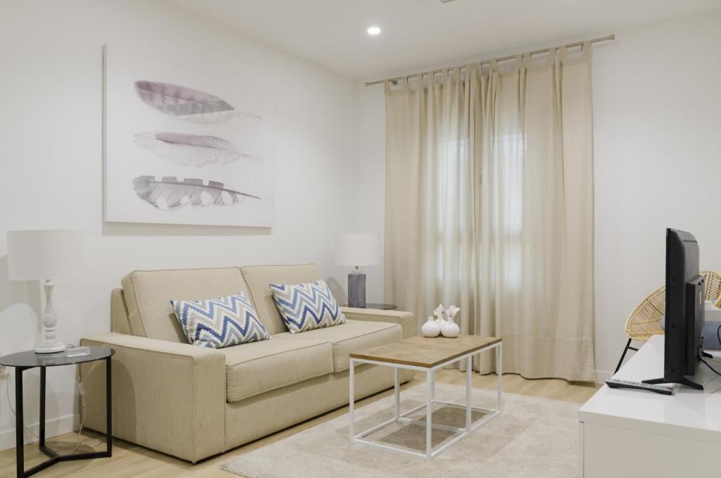 Televízia a/alebo spoločenská miestnosť v ubytovaní Lujosa vivienda en plena Judería