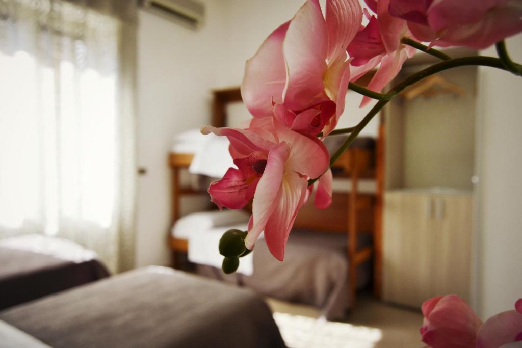 Hotel Colombo - Resim 8