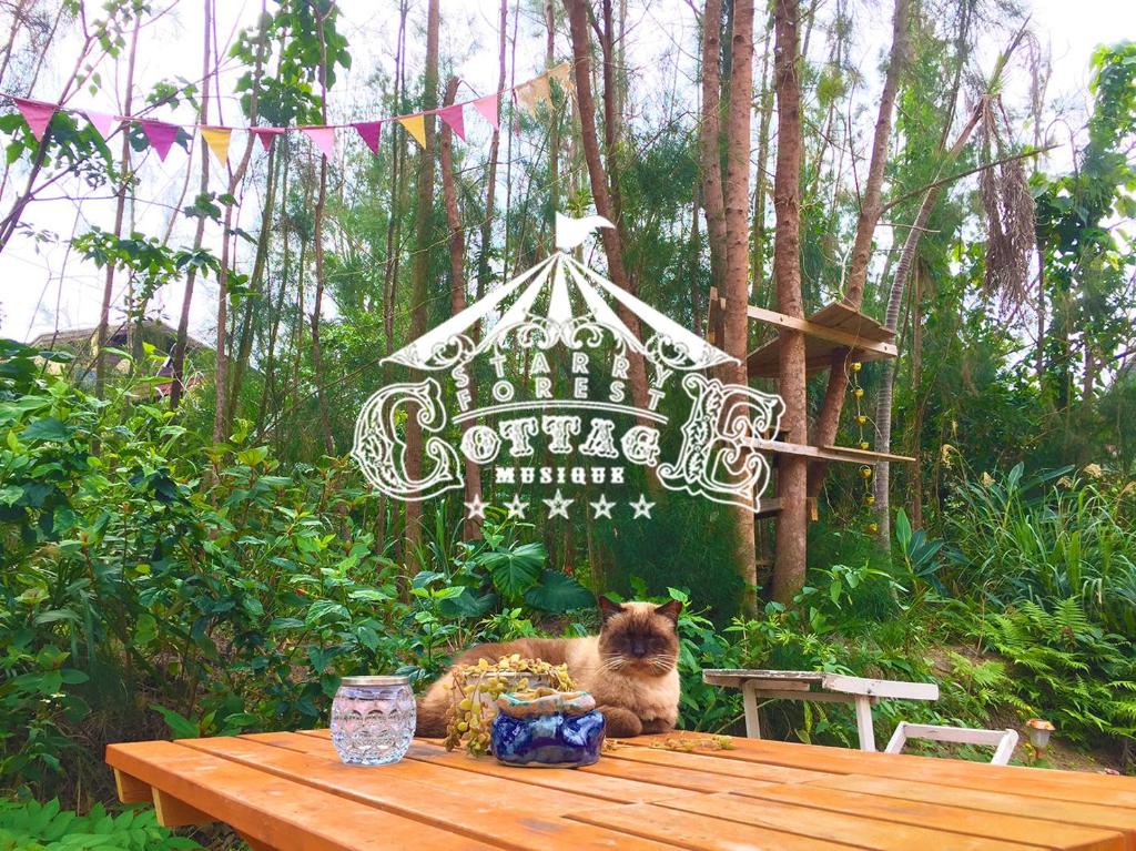 恩納村にある猫とピアノと星空のリゾートブティックコテージ - Starry Forest Cottage Okinawa -の看板前のテーブルに座る猫