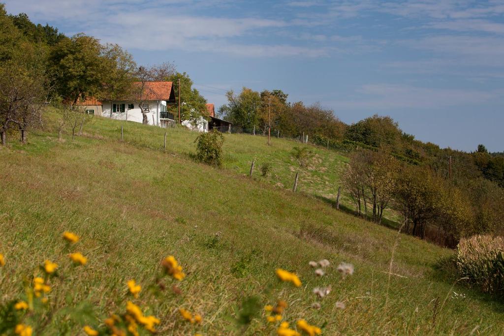 Příroda nedaleko prázdninového domu