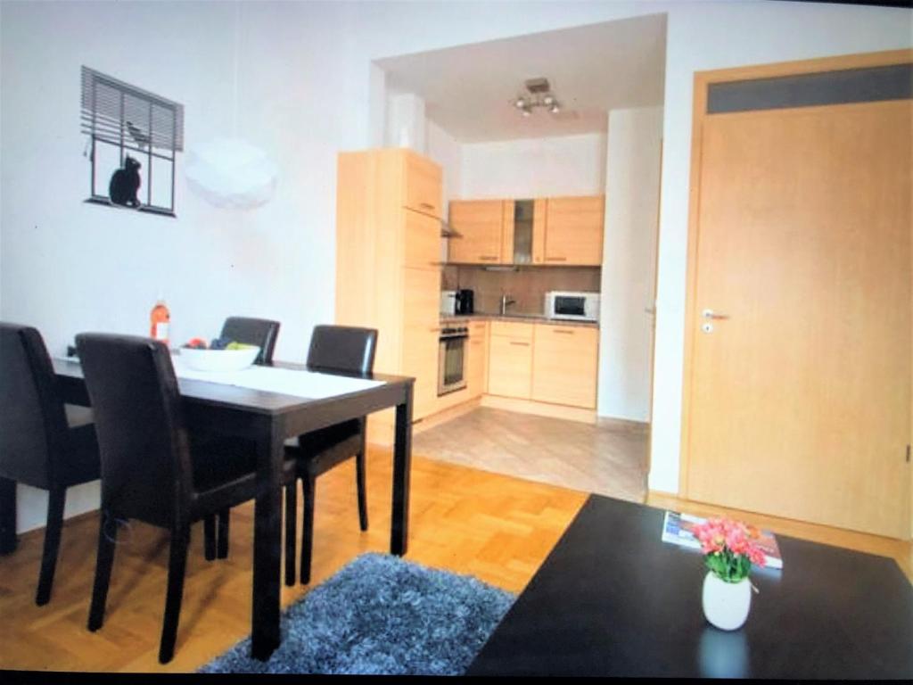 Kuchyňa alebo kuchynka v ubytovaní Gozsdu Apartment