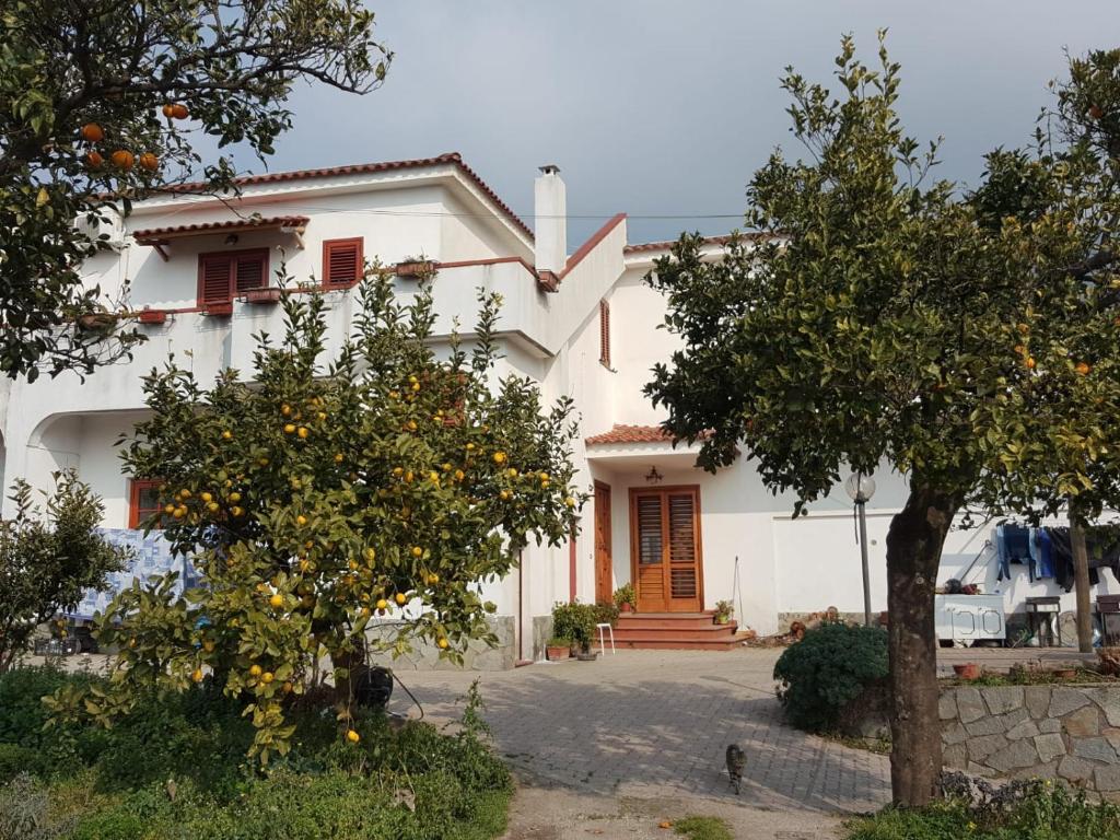 a white house with an orange tree in front of it at VILLA ELENA in Vico Equense