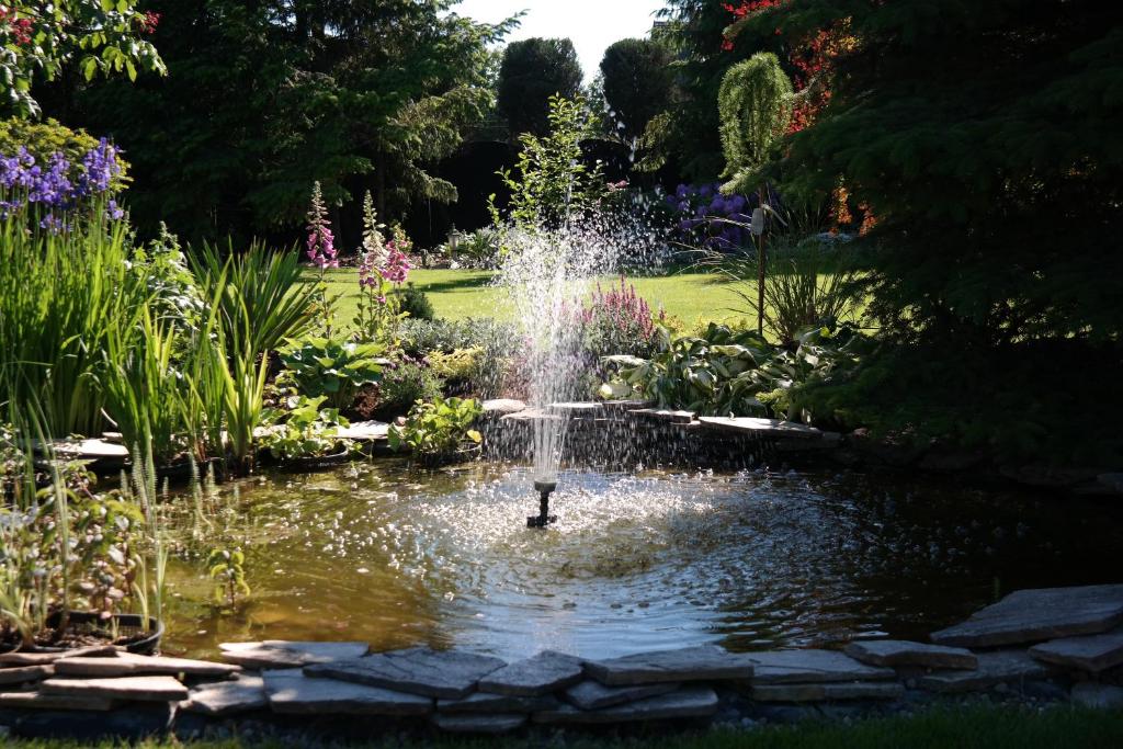 Hotel Astra Tajemniczy Ogród - Resim 27