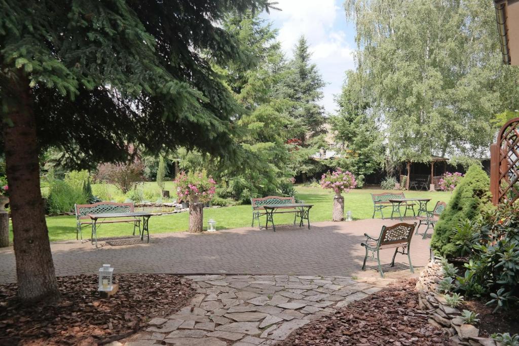 Hotel Astra Tajemniczy Ogród - Resim 22