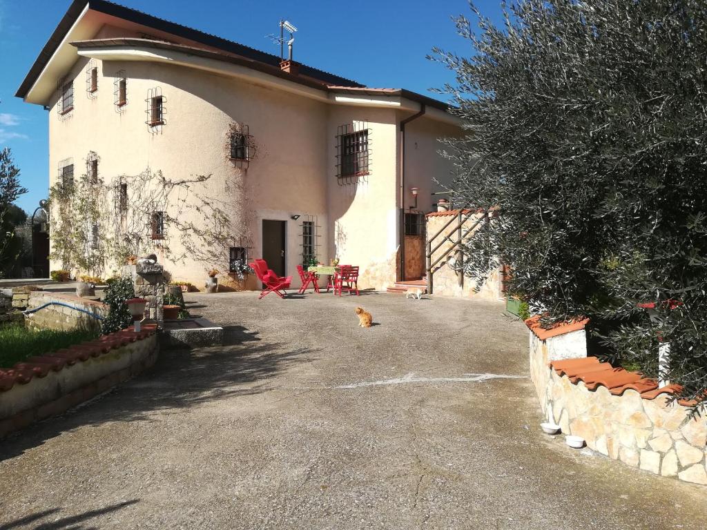 une maison avec un chat assis dans l'allée dans l'établissement Casa fra gli ulivi di Giuseppe, à Sonnino