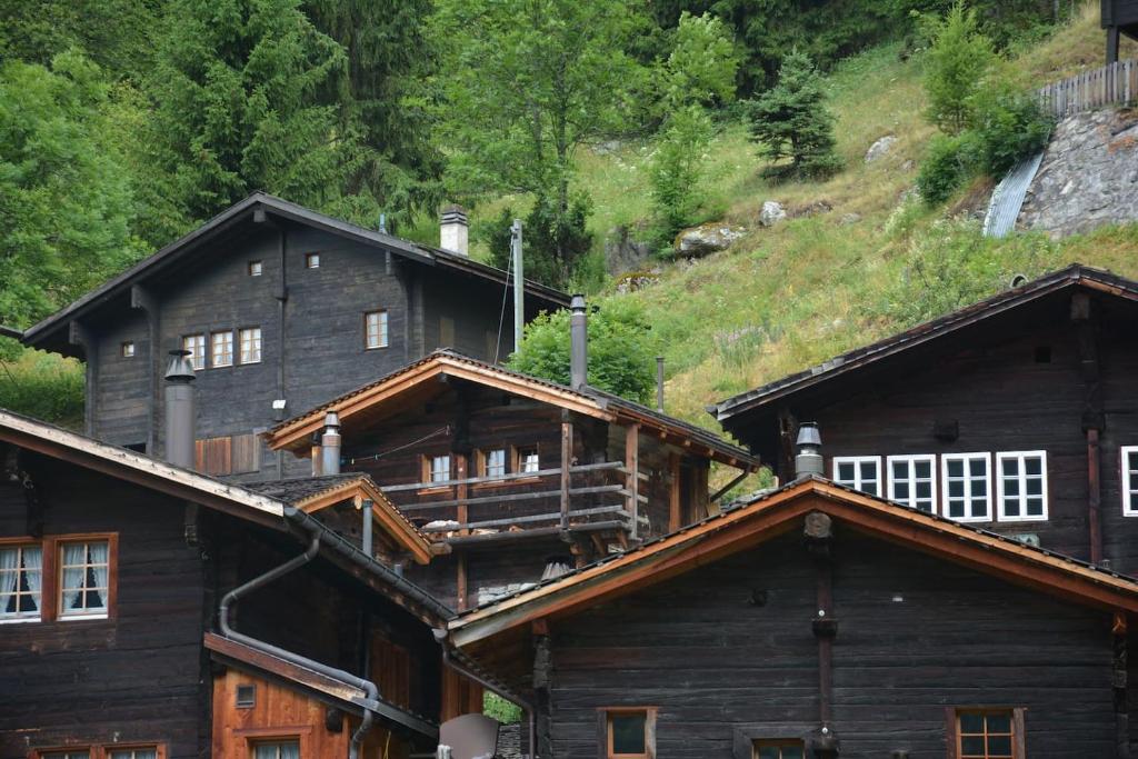 Příroda nedaleko apartmánu