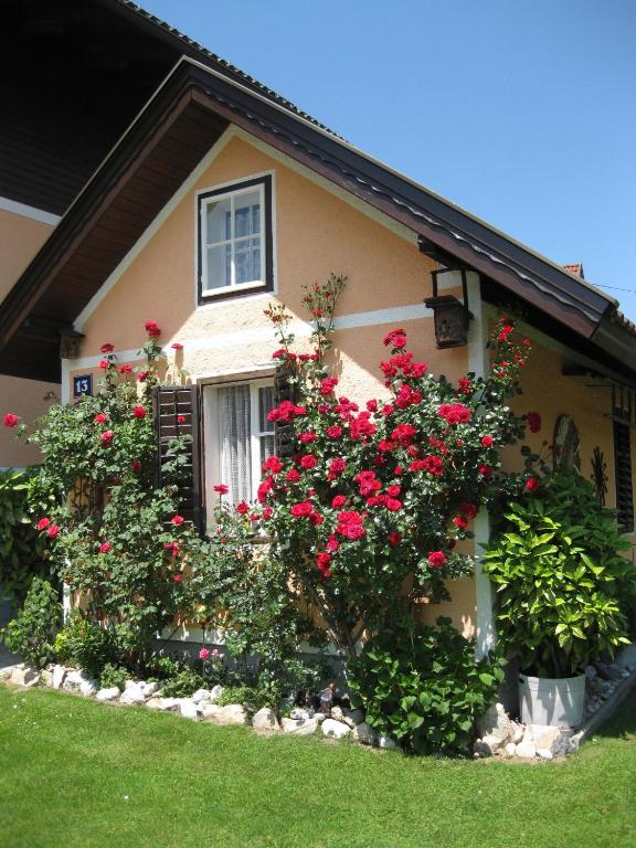 Zahrada ubytování Gästehaus Stroitz