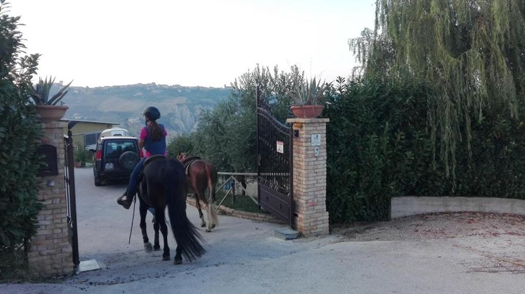 Hosté ubytování Casale Vittoria Atri