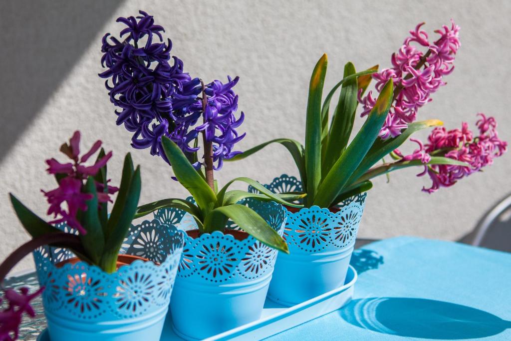 SPLIT APARTMAN free private garage - 7