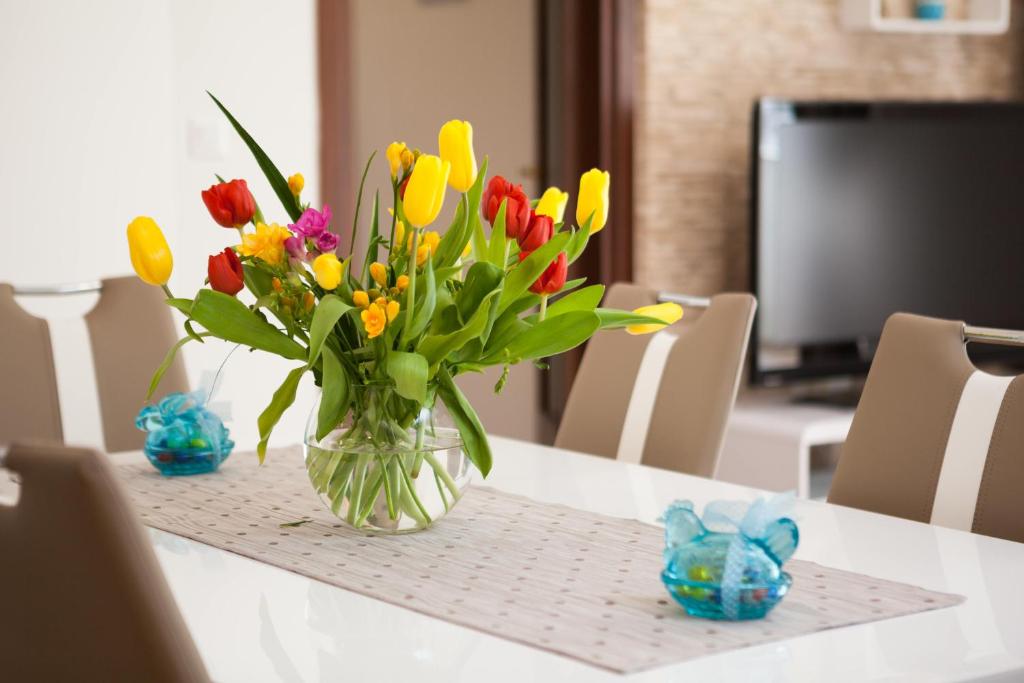 SPLIT APARTMAN free private garage - 11