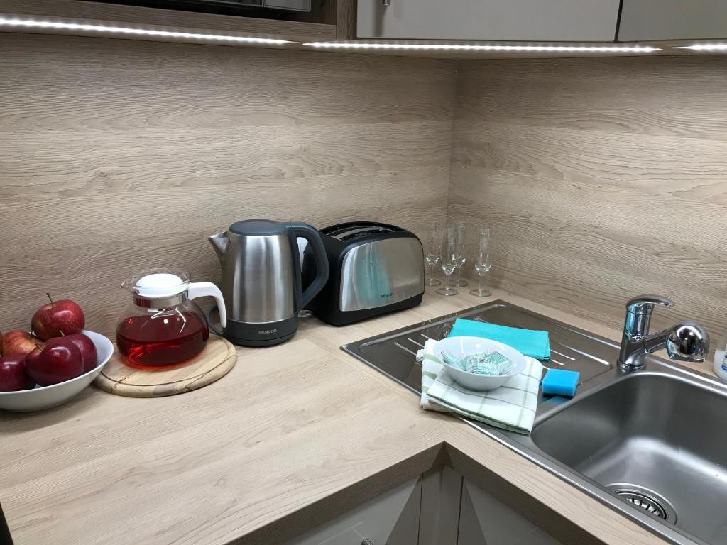 Kuchyň nebo kuchyňský kout v ubytování Apartmán U Sikorek