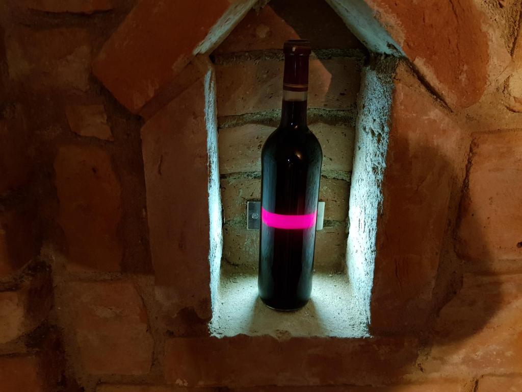 Nápoje v ubytování Apartmán ANNA s vinným sklepem Pouzdřany