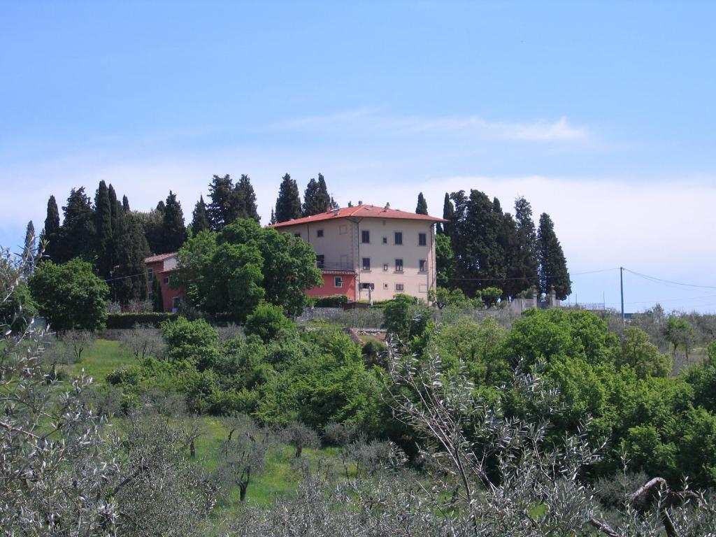 リニャーノ・スッラルノにあるMorianoの木の畑の中の家