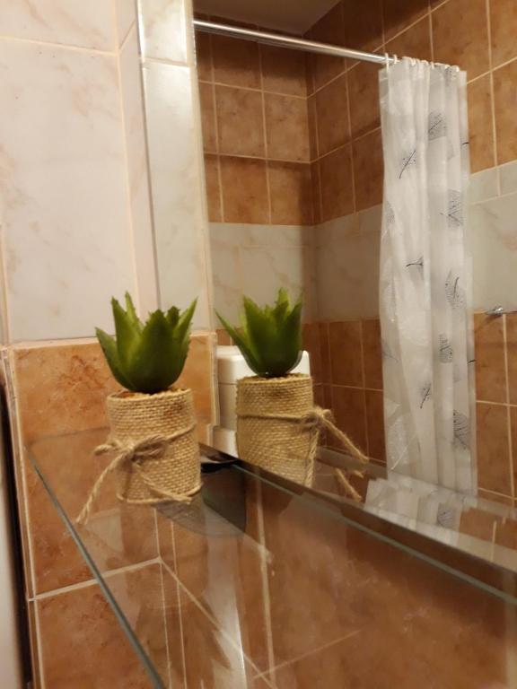 Koupelna v ubytování Guesthouse Vukasevic