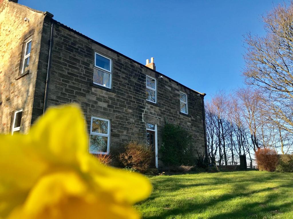 una casa de ladrillo con una flor amarilla en primer plano en Riding Farm, en Gateshead