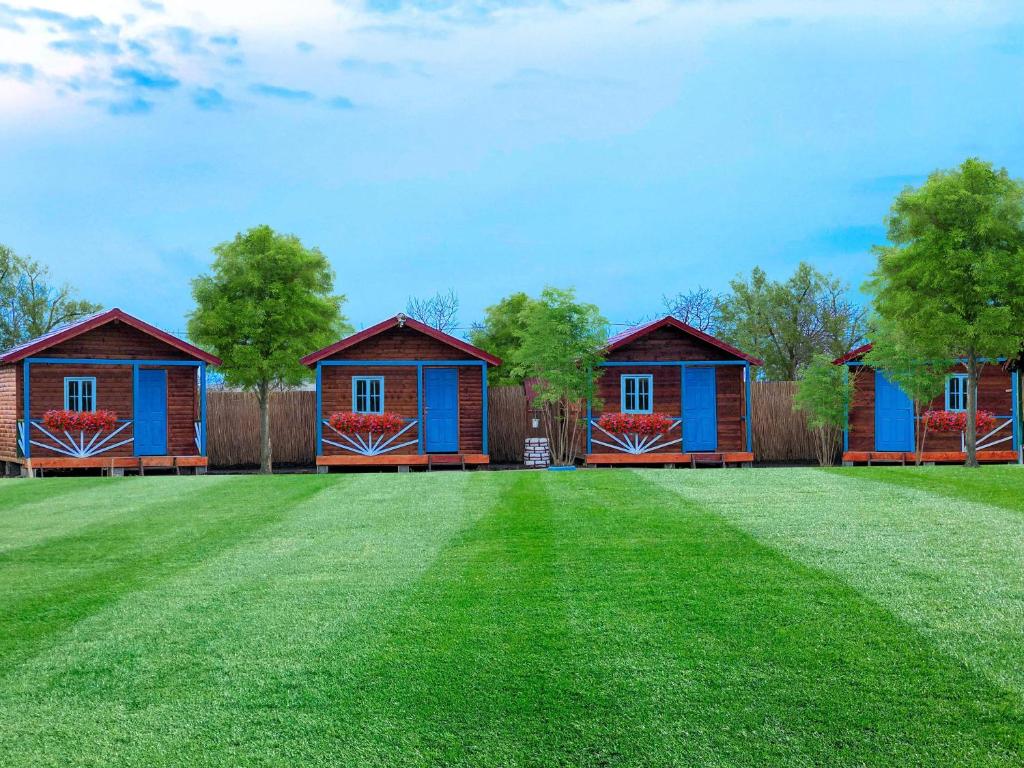 a row of cottages on a grass field at Pensiunea Alessia Murighiol in Murighiol