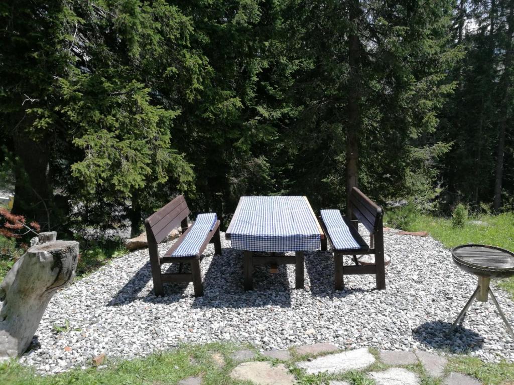 Vonkajšia záhrada v ubytovaní Waldnerhütte