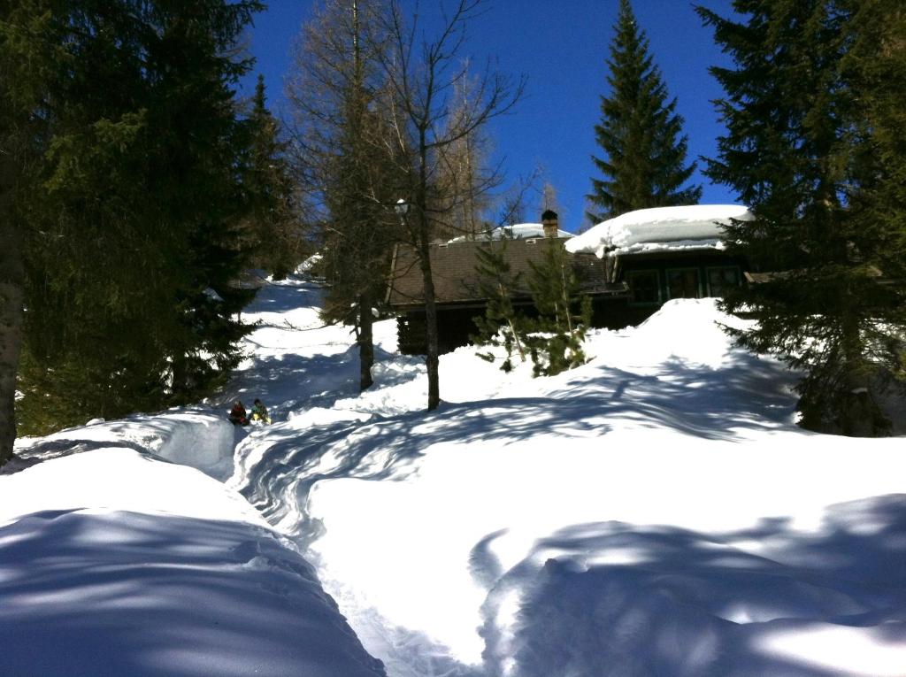 Waldnerhütte v zime
