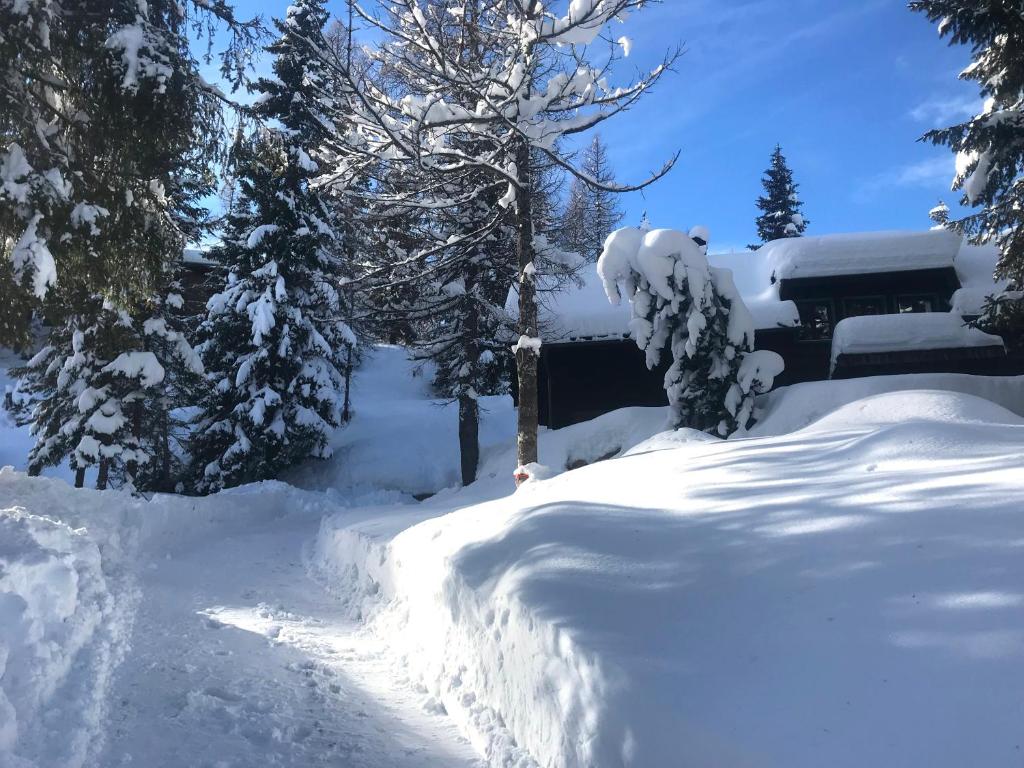 Waldnerhütte v zime