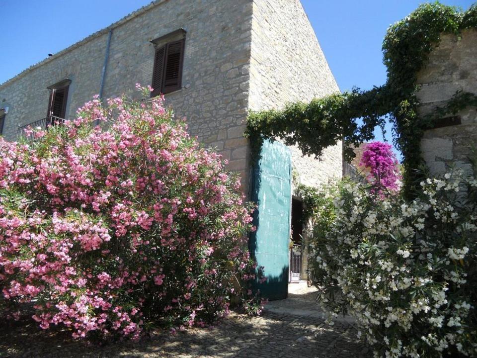 Zahrada ubytování Agriturismo Ridocco