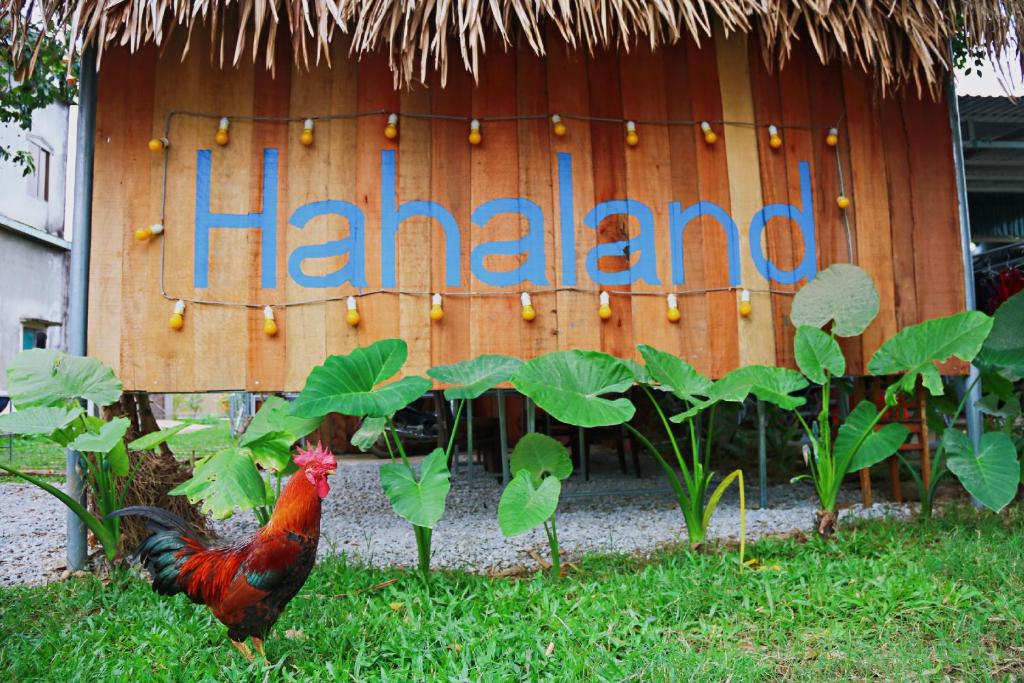 a rooster standing in front of a sign that reads harland at Hahaland in Phong Nha